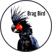 Bragbird logo - Similar company to Ams Planning