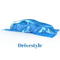 Drivestyle logo - Similar company to Dms Industrie