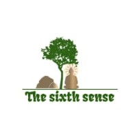 The sixth sense ZA logo - Similar company to Qds: Quintessence Development Solutions