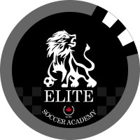 Brampton Elite Soccer Academy logo - Similar company to Affinity Soccer Academy