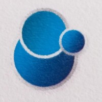 Indigo Software Solutions logo - Similar company to Dsa Global