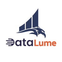 Datalume logo - Similar company to Datanest