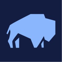 Blue Bison Digital logo - Similar company to Blue Bison Software Solutions