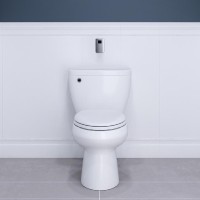 Flushmate