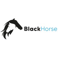 BlackHorse, IT Consulting logo - Similar company to Arh Group Spa