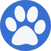 The Purr-Fect Paw