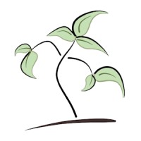 Sapling Data logo - Similar company to Data & More