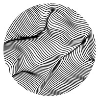 Circadian Intimates logo - Similar company to Mtl Precision