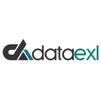 DATAEXL INFORMATION LLC logo - Similar company to Cloudysave.Com
