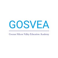 GOSVEA Inc logo - Similar company to Tr E-Commerce Consulting Llc