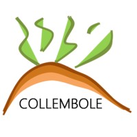 COLLEMBOLE logo - Similar company to 3L Finance