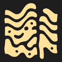 Signal Fluid logo - Similar company to Nexis Ltd