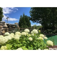Duck Creek Golf Center, Llc