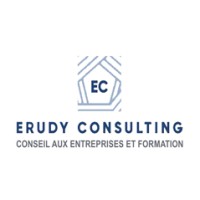 ERUDY Consulting logo - Similar company to Sibeco Expertise