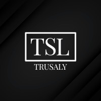 Trusaly Consulting logo - Similar company to Digitalxpert