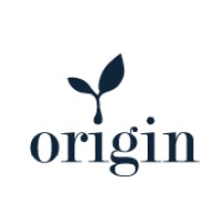 Origin Consulting logo - Similar company to Ct4 Construction Llc