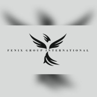 FENIX GROUP INTERNATIONAL LLC logo - Similar company to Tarkon