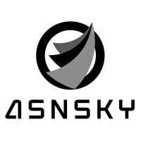 ASNSKY logo - Similar company to Datatek
