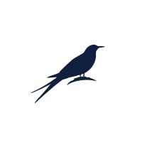 Sternartica logo - Similar company to Fanbrush