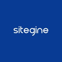 Sitegine logo - Similar company to Creative Trnd