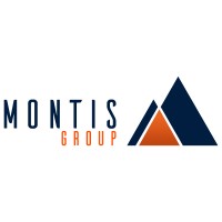 Montis Group logo - Similar company to Neofisc S.A R.L