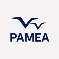 PAMEA — Pan-African Motorsports Engineering Association logo - Similar company to Dies Crafts