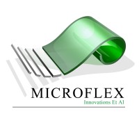 Microflex limited logo - Similar company to Sycamore Africa