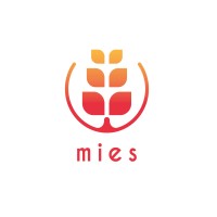 MIES logo - Similar company to Mies
