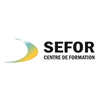 SEFOR logo - Similar company to Sefor Security Solutions