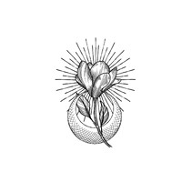 BENOIT ANNE-SOPHIE logo - Similar company to Studio Moof