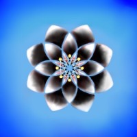 Udanta logo - Similar company to Piruby