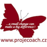 Projecoach 🦋 logo - Similar company to Eppm Services 🚀