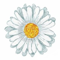 daisy.systems logo - Similar company to Urban Daisy