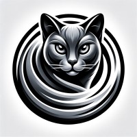 Spinning Cat Studios logo - Similar company to Jaxx.Ai (Now Teamfluence™)