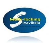 Multi-Locking Vehicle Tracking Security Systems logo - Similar company to Pinnacle Prime