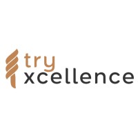 Try Excellence, LLC logo - Similar company to Evolucion Group, Llc