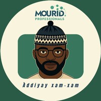 Mourid Professionals logo - Similar company to Mouride Aux Temps Tics