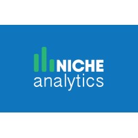 Niche Analytics logo - Similar company to Precision Bookkeeping Solutions
