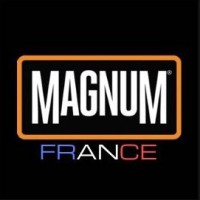 Magnum Boots France logo - Similar company to Mzh-Hbl