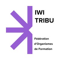 Iwi Tribu logo - Similar company to Cognix Systems