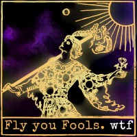 Fly you Fools logo - Similar company to Moti