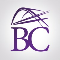 Bridgewater Consultancy UK Ltd logo - Similar company to Alemara