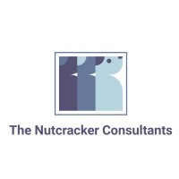 Nutcracker Consultants - Case Team logo - Similar company to Nutkracker Consultants