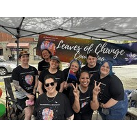 Leaves of Change Counseling logo - Similar company to Nats-Aid