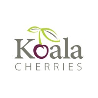 Koala Cherries logo - Similar company to Cherryhill Orchards