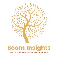 Boom Insights logo - Similar company to Technict