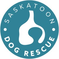Saskatoon Dog Rescue logo - Similar company to Iabc Canada West Region