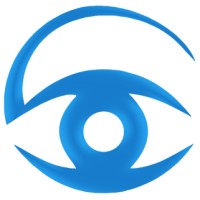Visionary Digital Studios - B2B-specialised Marketing logo - Similar company to Chapter One