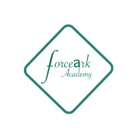 ForceArk Academy logo - Similar company to Desynit Limited