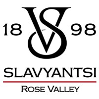 Vinex Slaviantsi Poland logo - Similar company to Yoer - Piękne I Inteligentne Agd